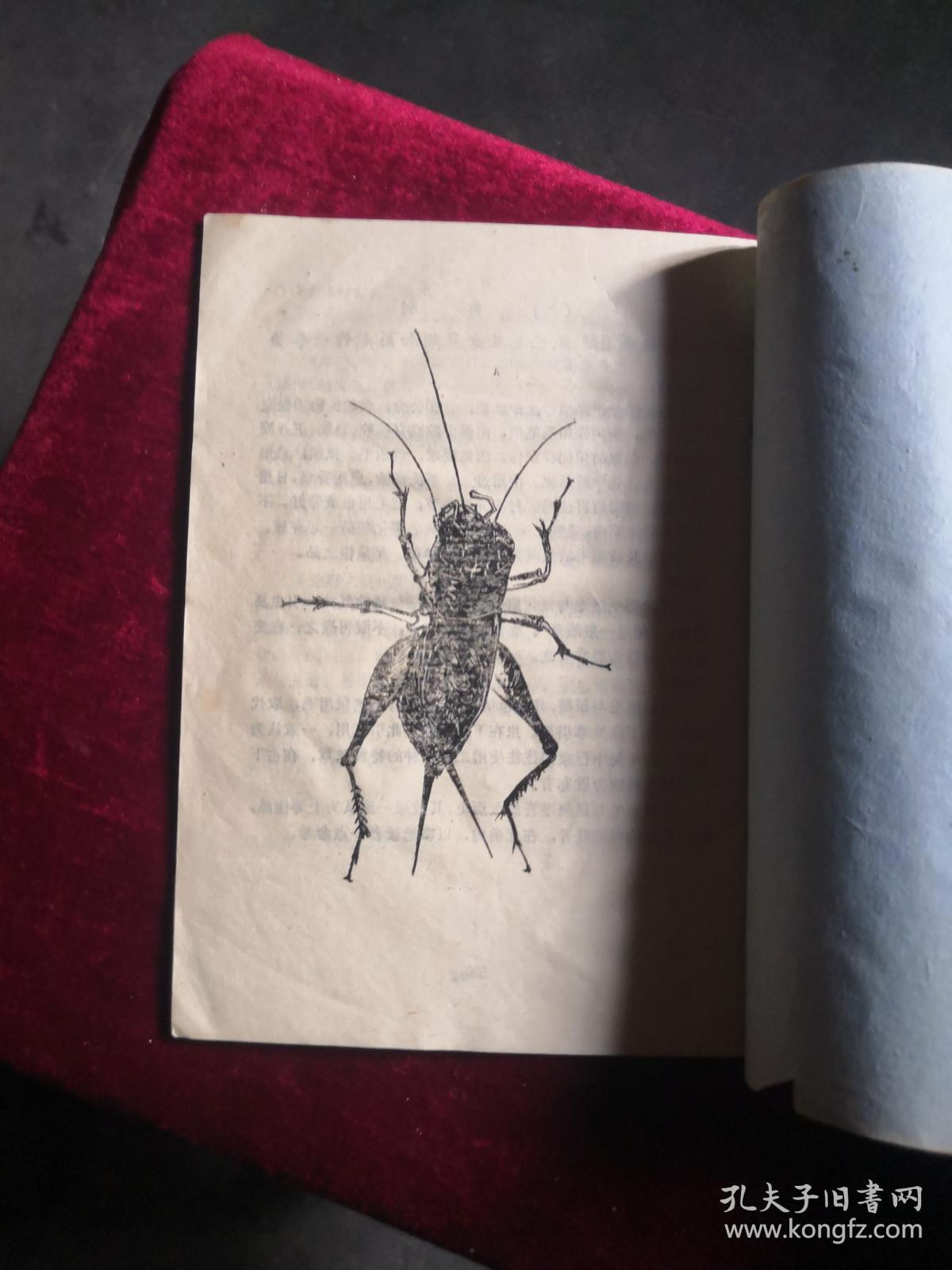 蟋蟀谱上下册