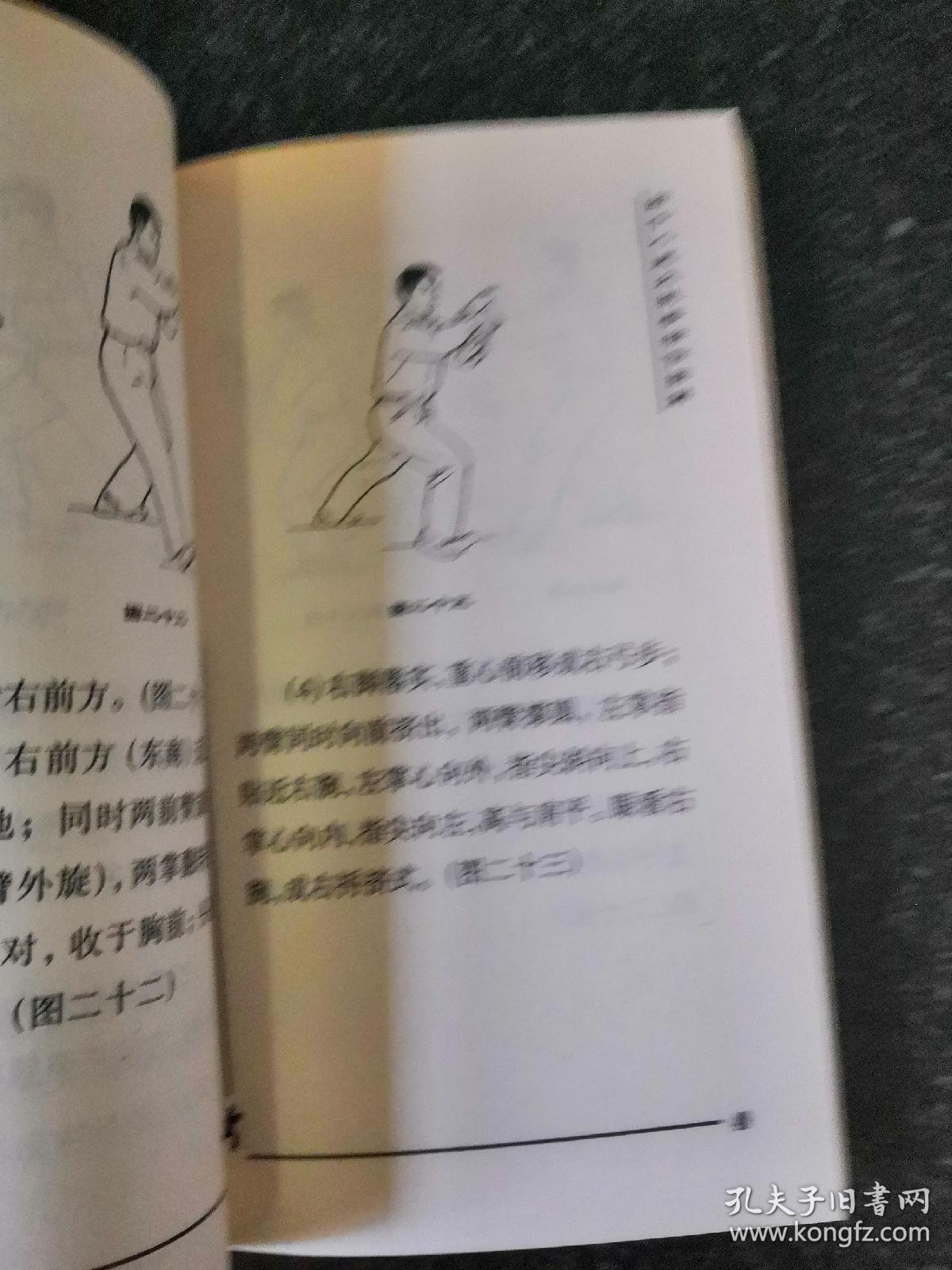 四十八式太极拳——太极拳普及系列丛书