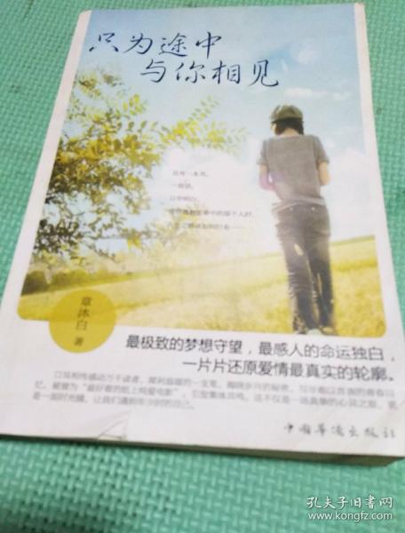 只为途中与你相见