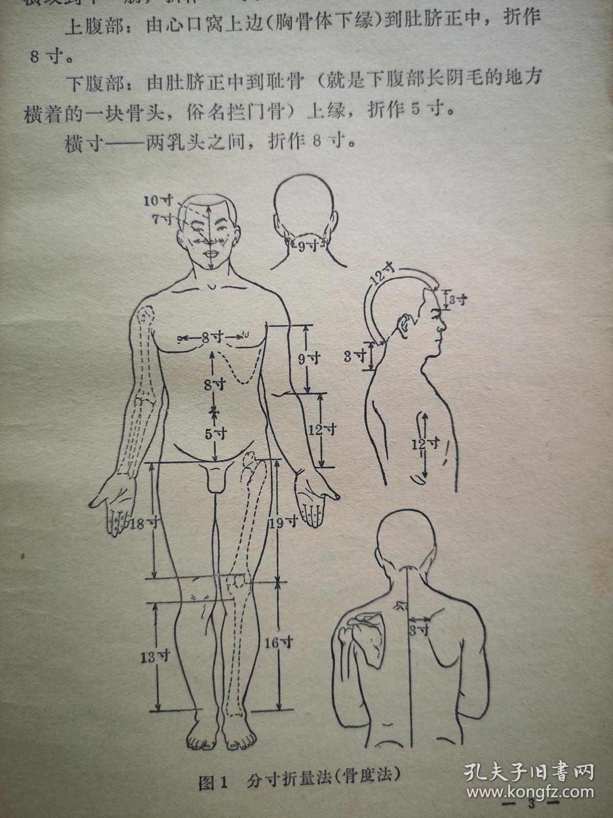 针灸临床取穴图解