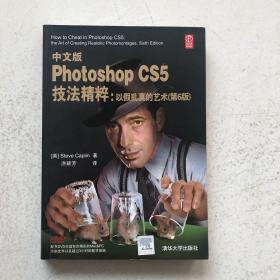 中文版Photoshop CS5技法精粹：以假乱真的艺术（第6版）