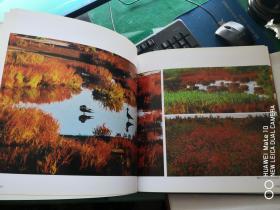 湿地之韵--黄河三角洲自然风光（画册）【车库西】3-2