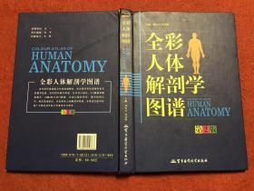 全彩人体解剖学图谱 第2版