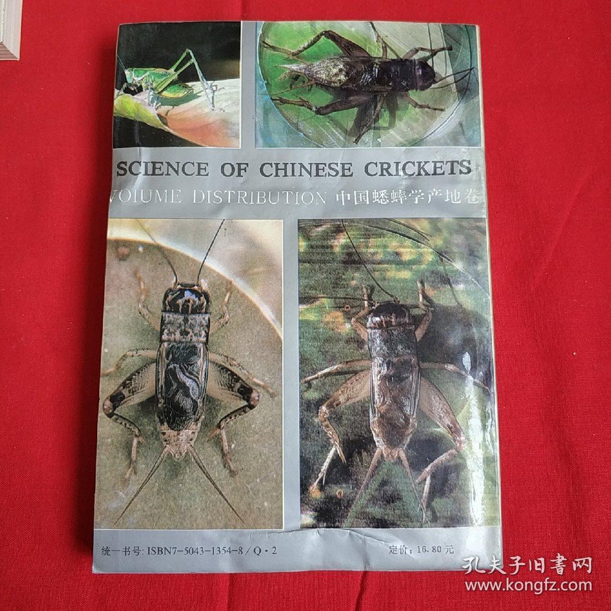 中国宁津蟋蟀志照片图片