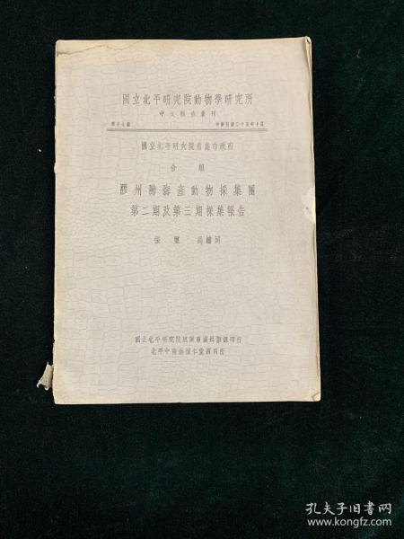 ccaad58a0d70a8f6_n.jpg