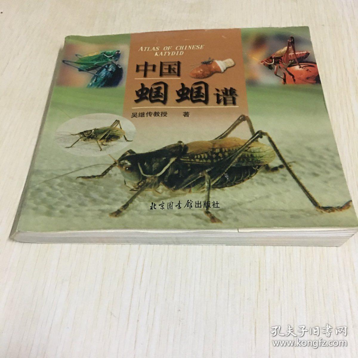 中国蝈蝈谱