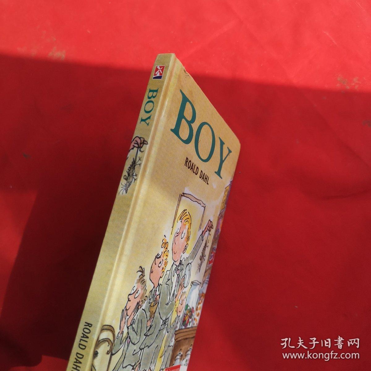 boy roald dahl