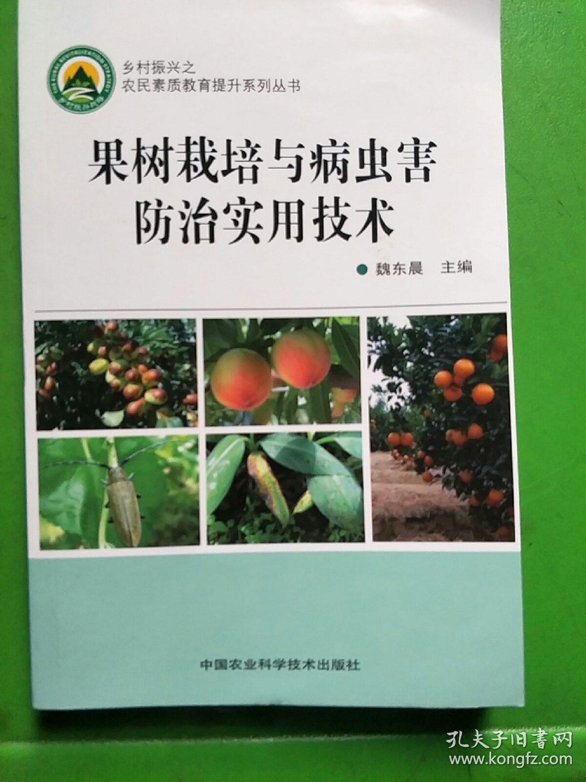水肥一体化技术在现代农业中的应用与展望