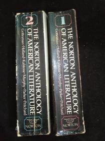 The Norton Anthology of American Literature 《诺顿美国文学选集》 两卷全