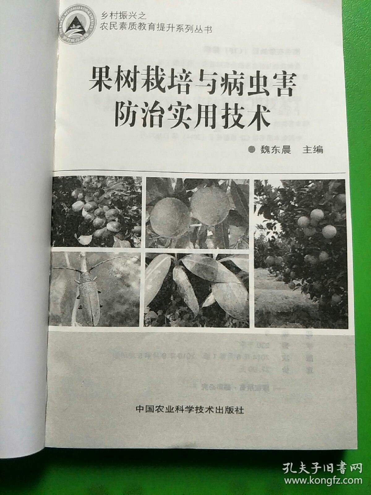 苹果树苗产业迎来新机遇