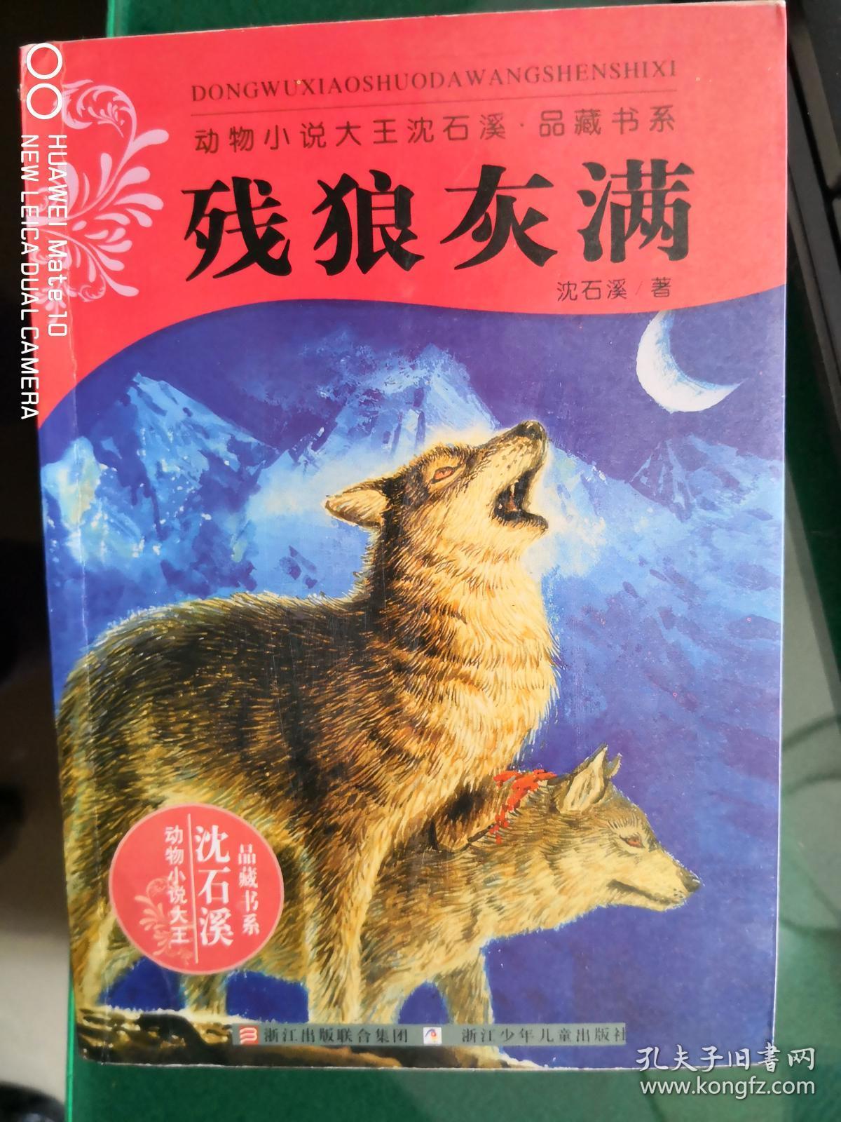 动物小说大王沈石溪品藏书系:残狼灰满【阳台】12
