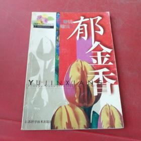 郁金香