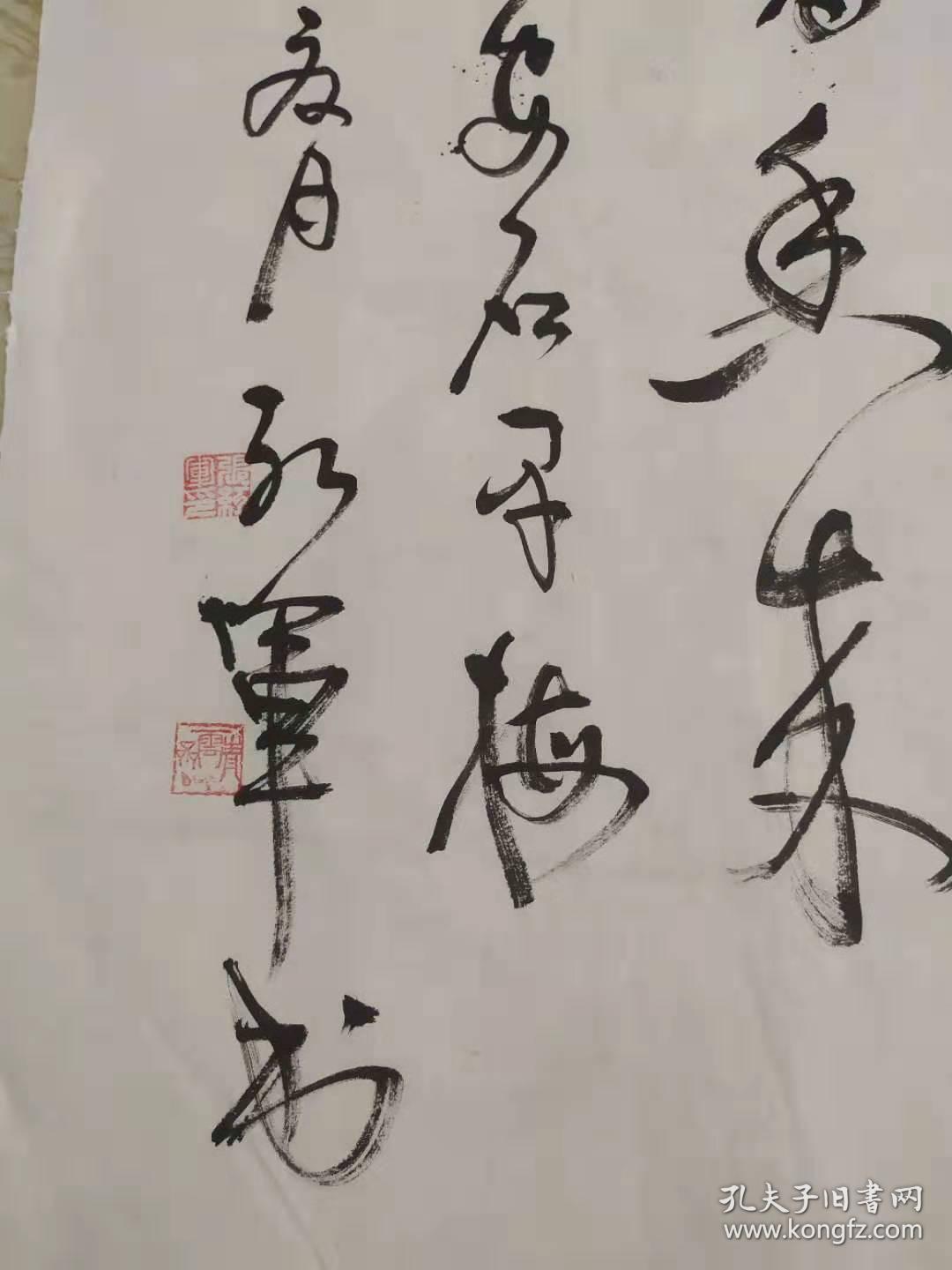 书法家 张红军 作品《王安石诗 咏梅》尺寸68×69cm