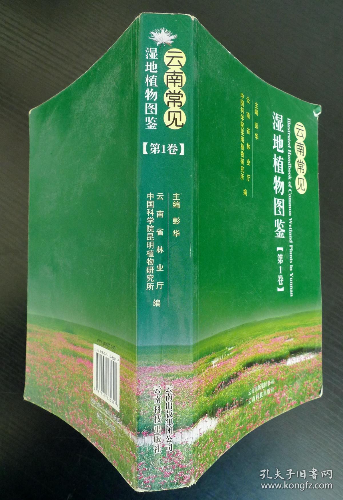 云南常见湿地植物图鉴(第1卷)