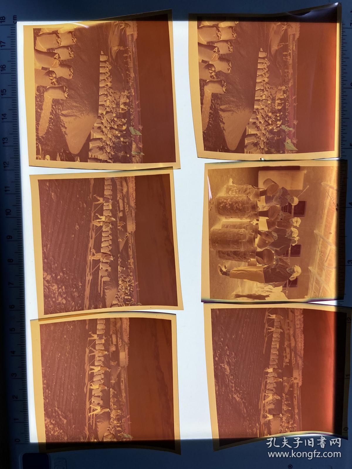彩色负片 120 6x6 cm 老照片 老底片 农业学大寨 1976.6 13张