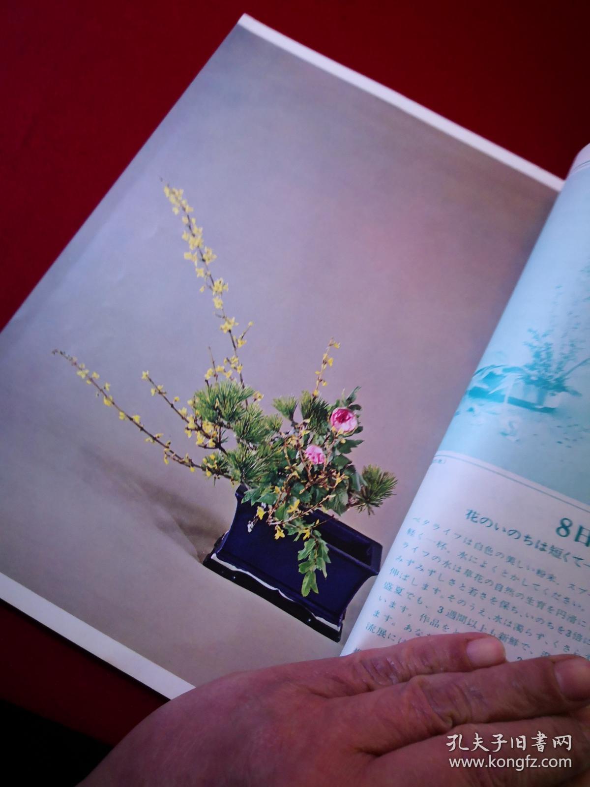 小原流插花 1968 4 家元讲座桃花古典花阳春の花 小原流插花入门者必读 纯文字 孔夫子旧书网