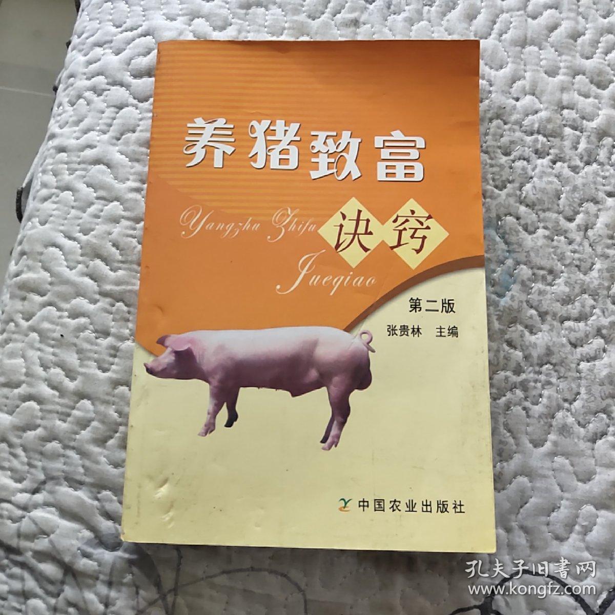 致富的诀窍pdf(致富的窍门pdf)