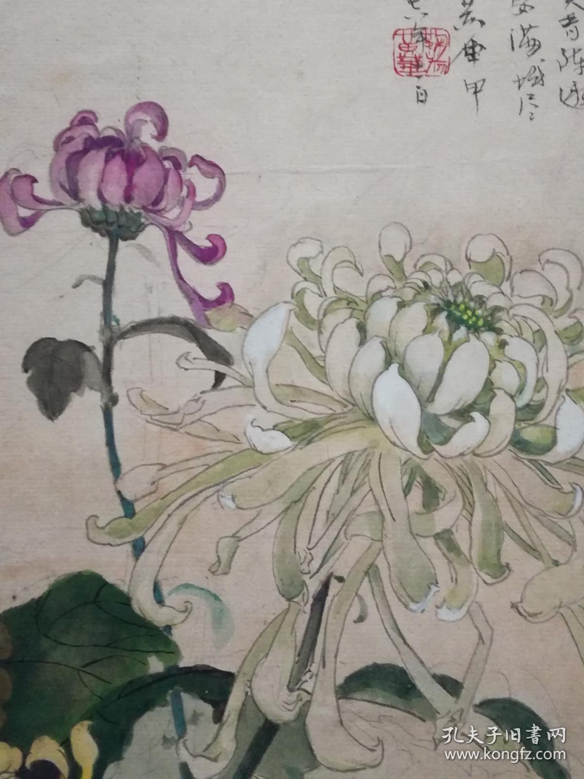 手绘彩色工笔菊花图:待到秋耒九月八 我花开后百花杀(见图)