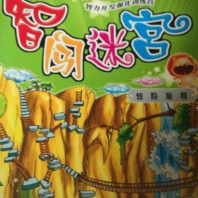 智闖迷宮（驚險旅程）
