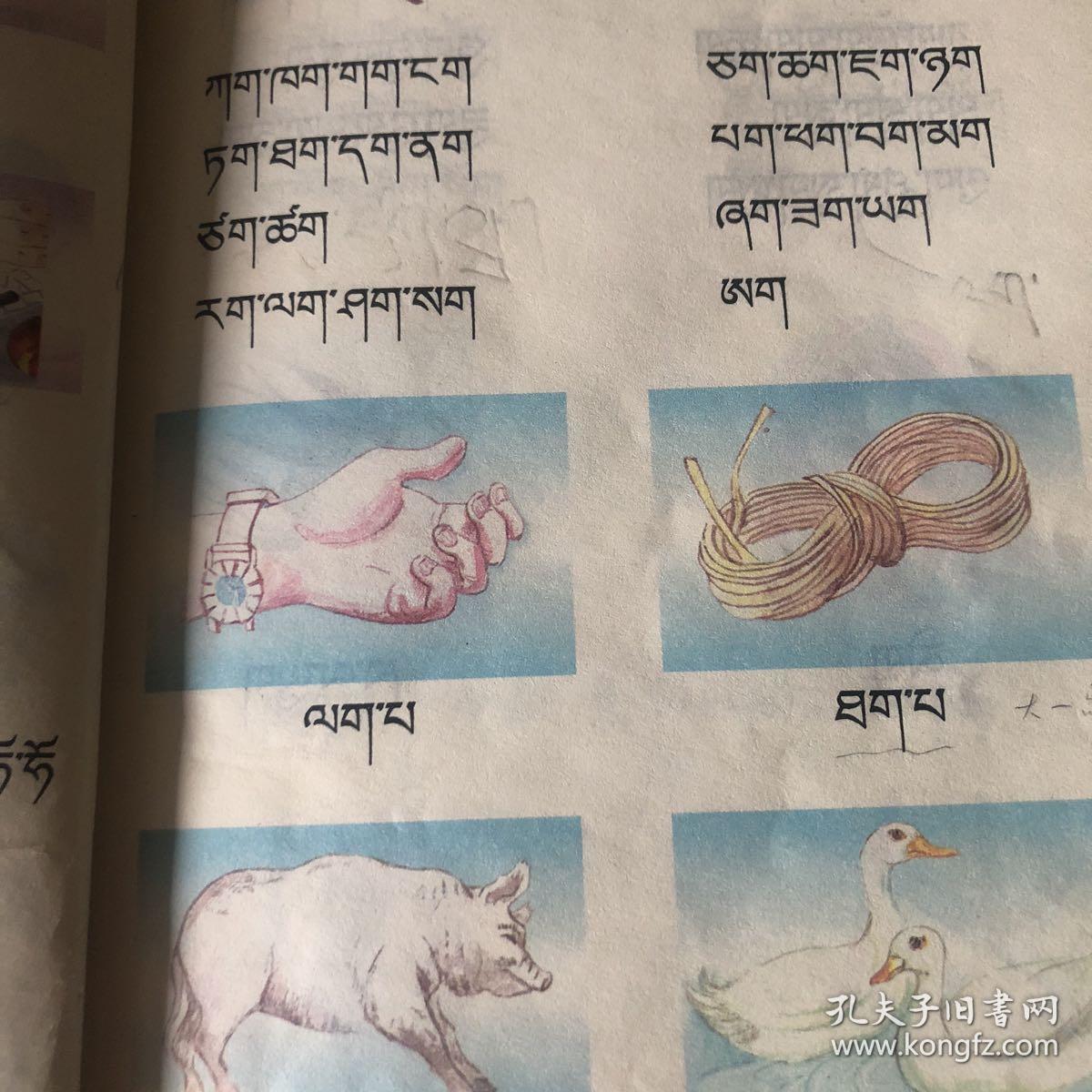 藏语文小学一年级上册教材