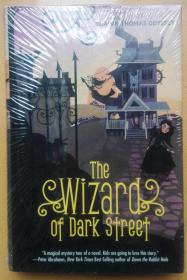 The Wizard of Dark Street