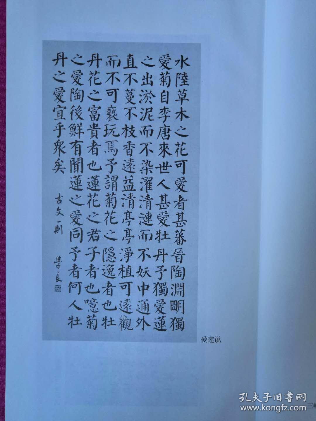 颜体集字古文_王学良_孔夫子旧书网