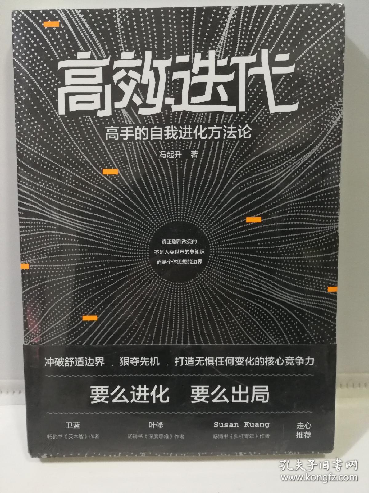 高效迭代:高手的自我进化方法论