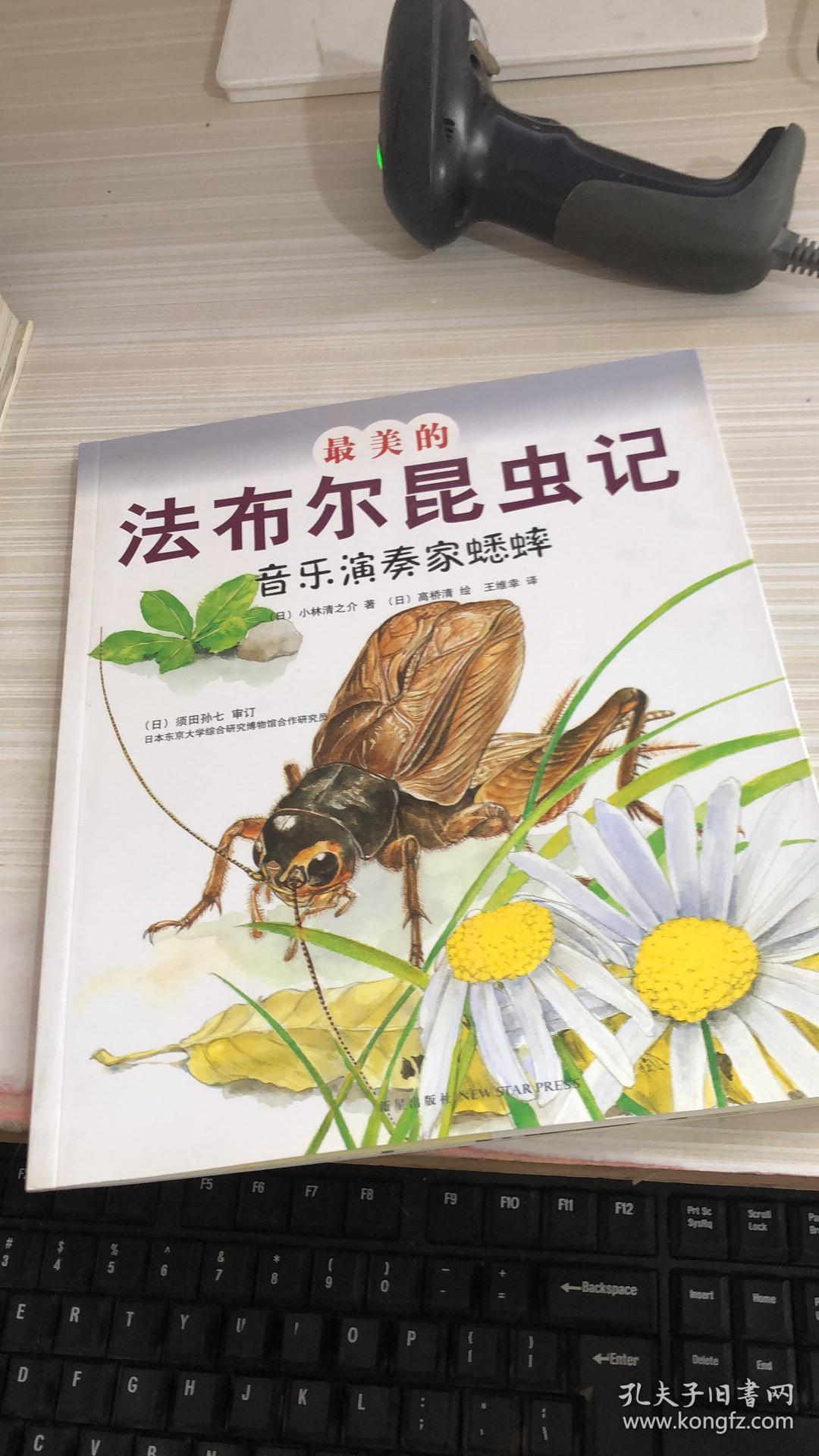 最美的法布尔昆虫记音乐演奏家蟋蟀