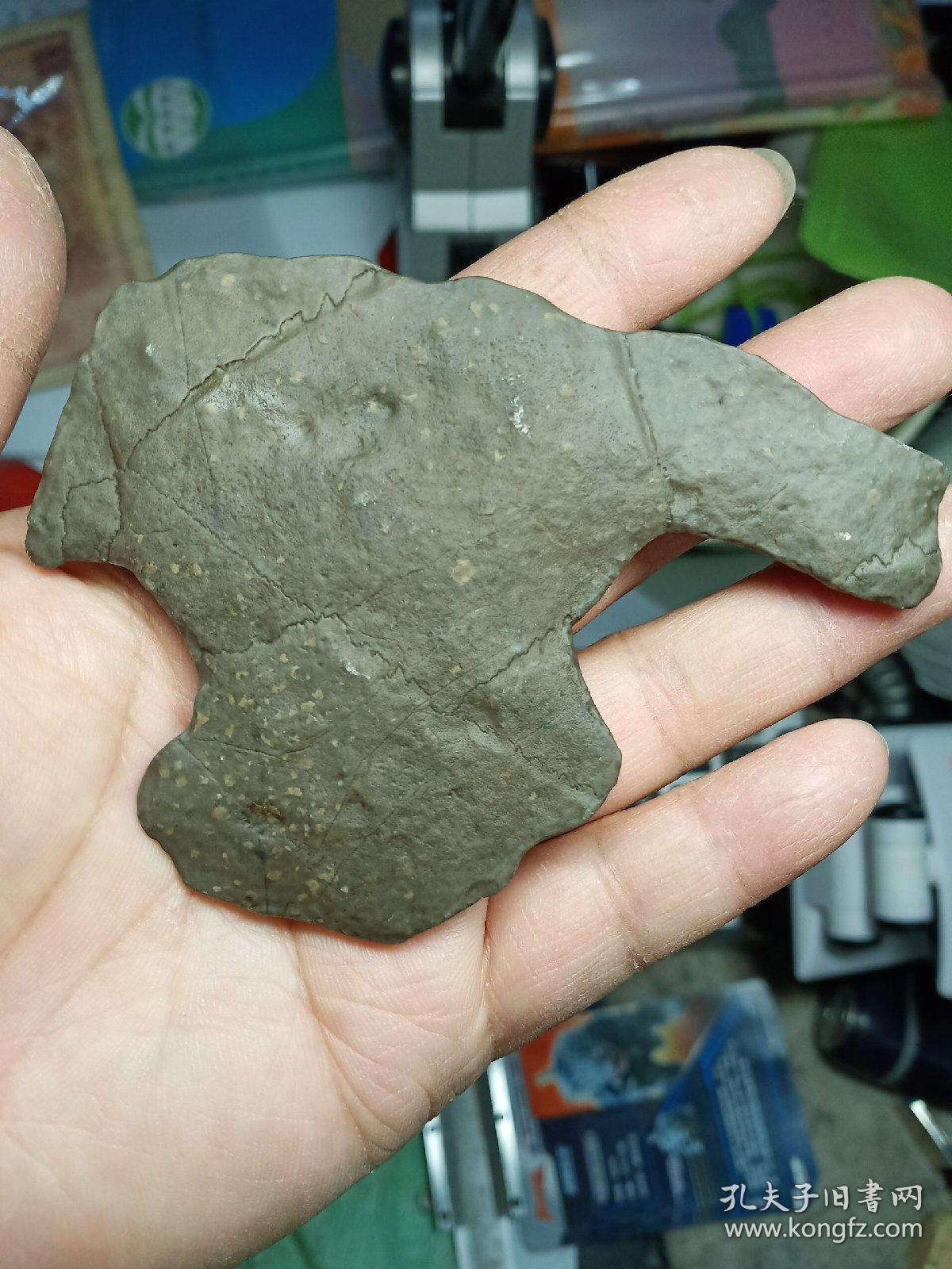 石头形状像一只休息的鸟天然原石未经雕琢有收藏和观赏