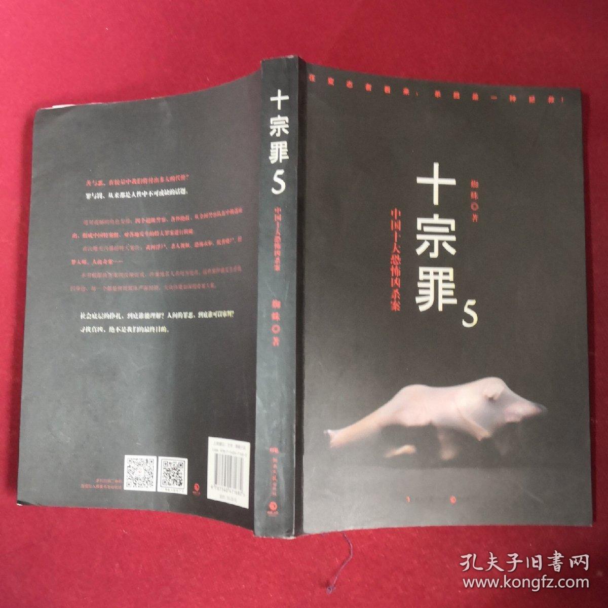 十宗罪5:中国十大凶杀案