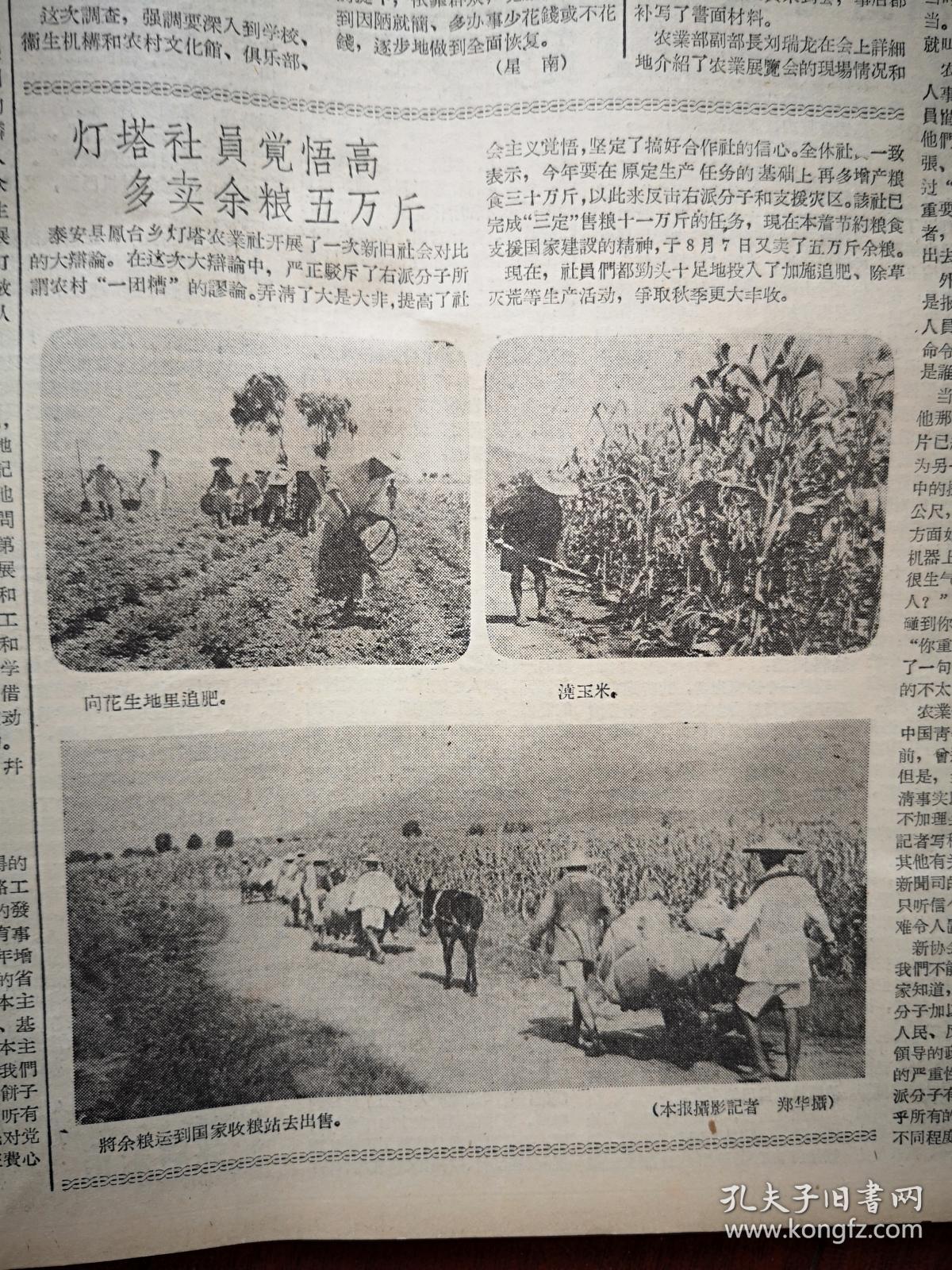 大众日报1957年8月14日(反右运动)王清和是个政治野心家,王桂浑是一个