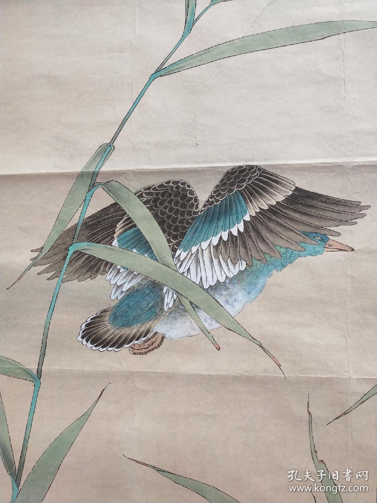 著名青年画家中国美协会员孙少亮工笔芦雁图