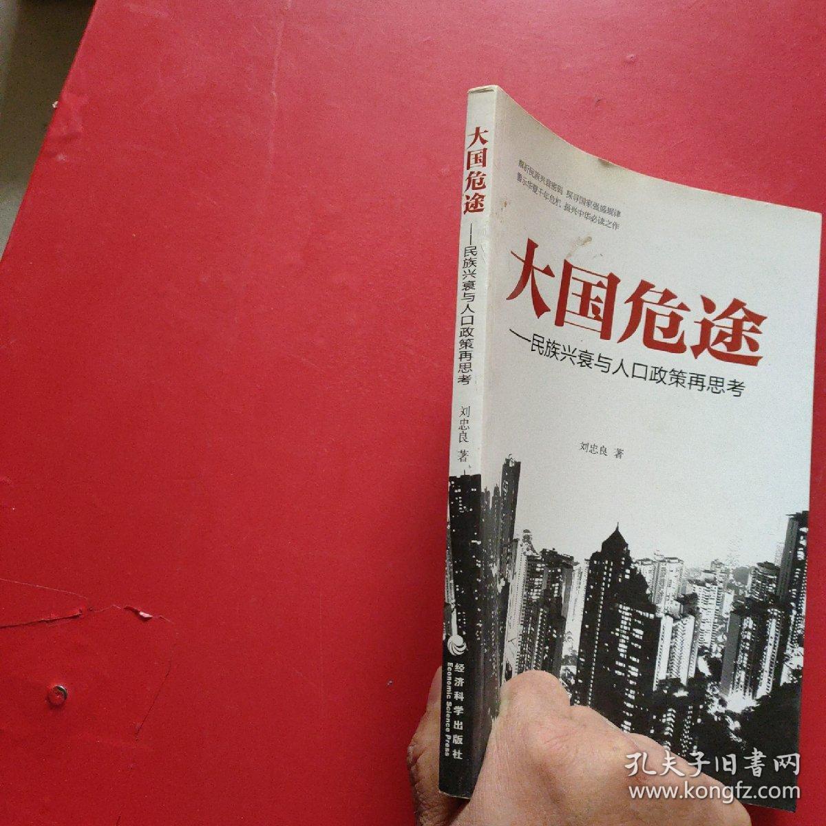 大国危途:民族兴衰与人口政策再思考_刘忠良 著_孔夫子旧书网