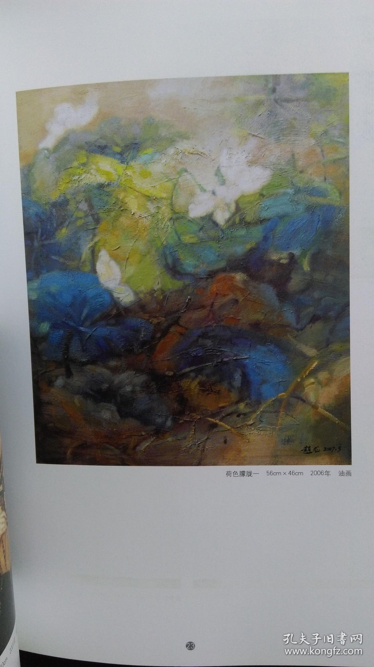 21世纪中国美术家:赵龙