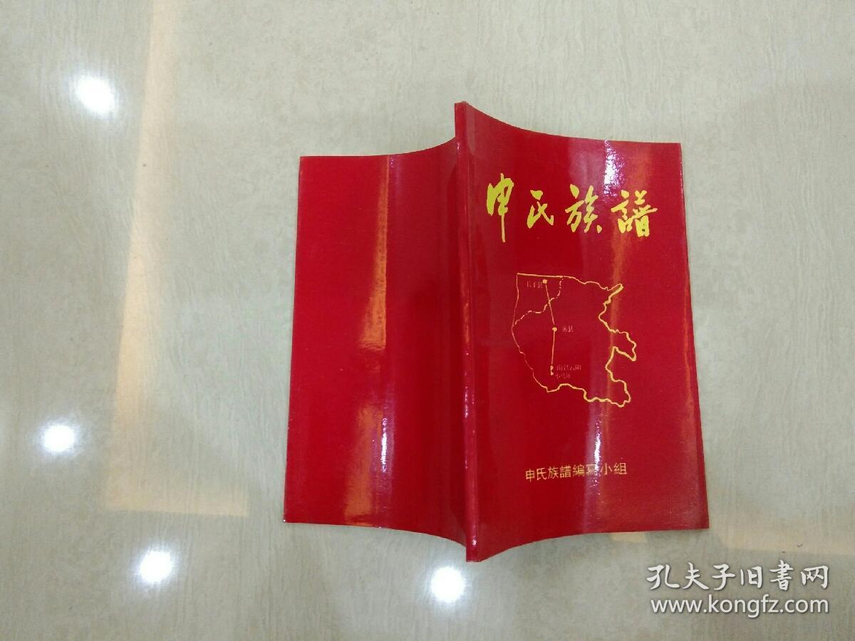 申氏族谱 32开91页>