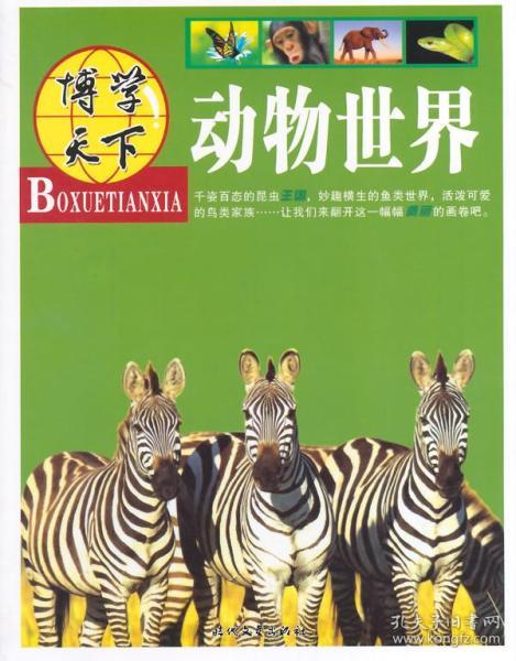 动物世界