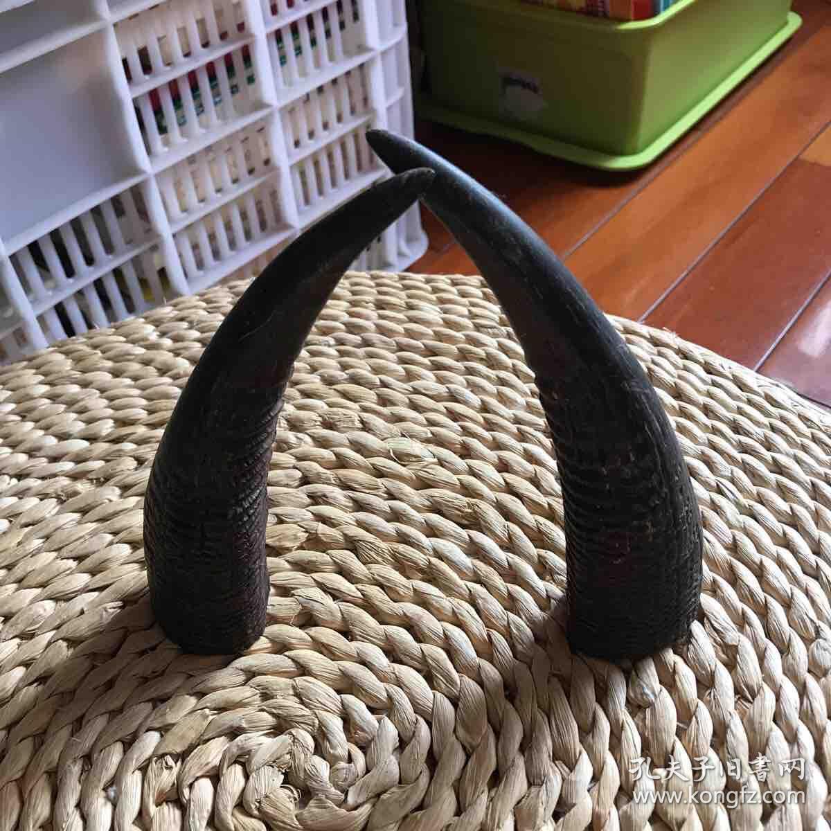 文玩杂件专场:羊角一对