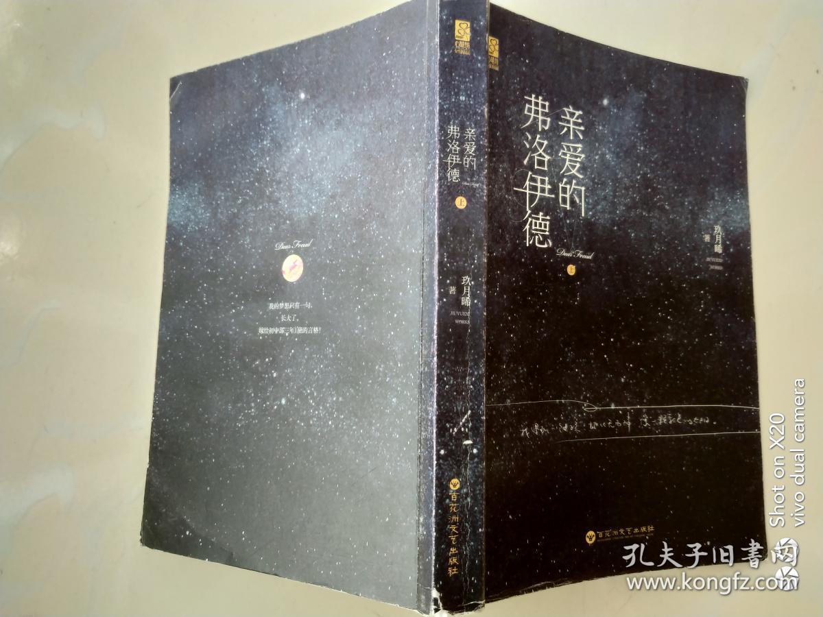 亲爱的弗洛伊德 (上下册)