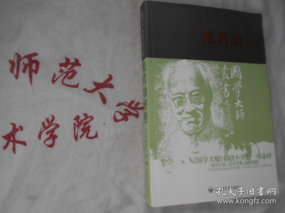 国学大师丛书 张君励评传
