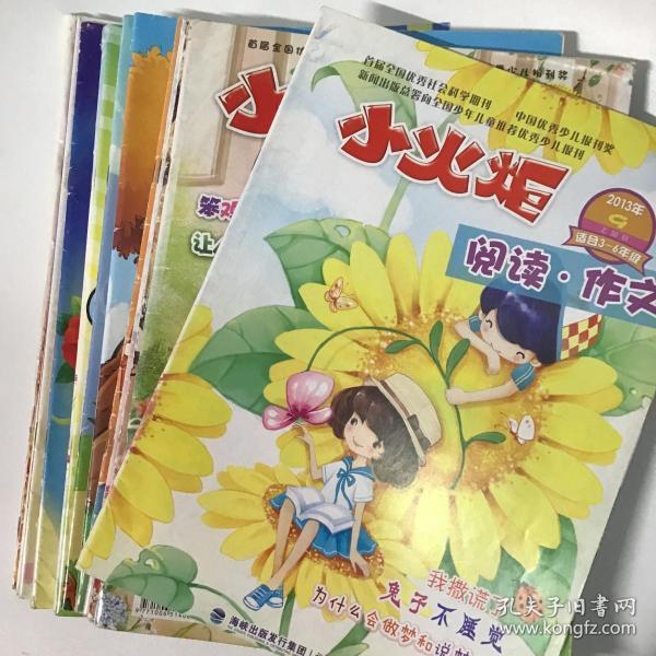 小火炬,页面点分类 期刊,有很多期款式可挑