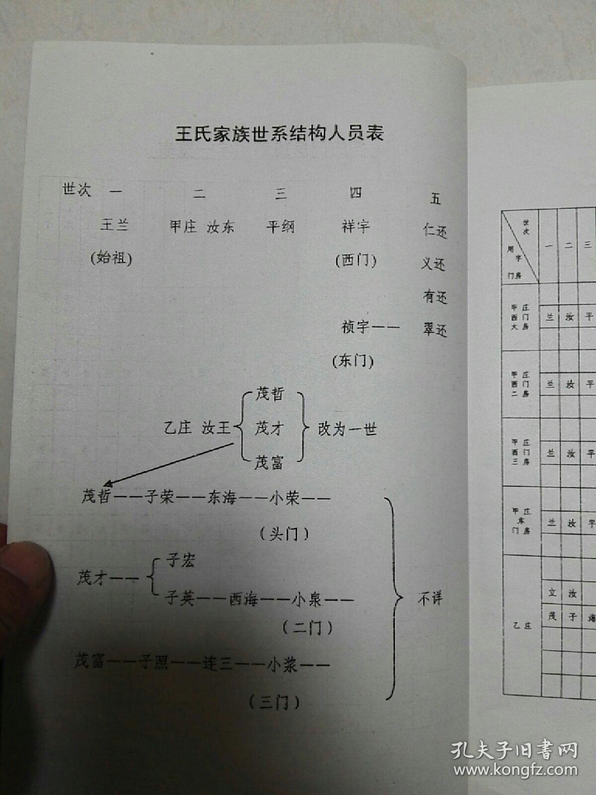 家谱 王氏宗谱(三槐堂 江苏盐城永丰地区 一册全!