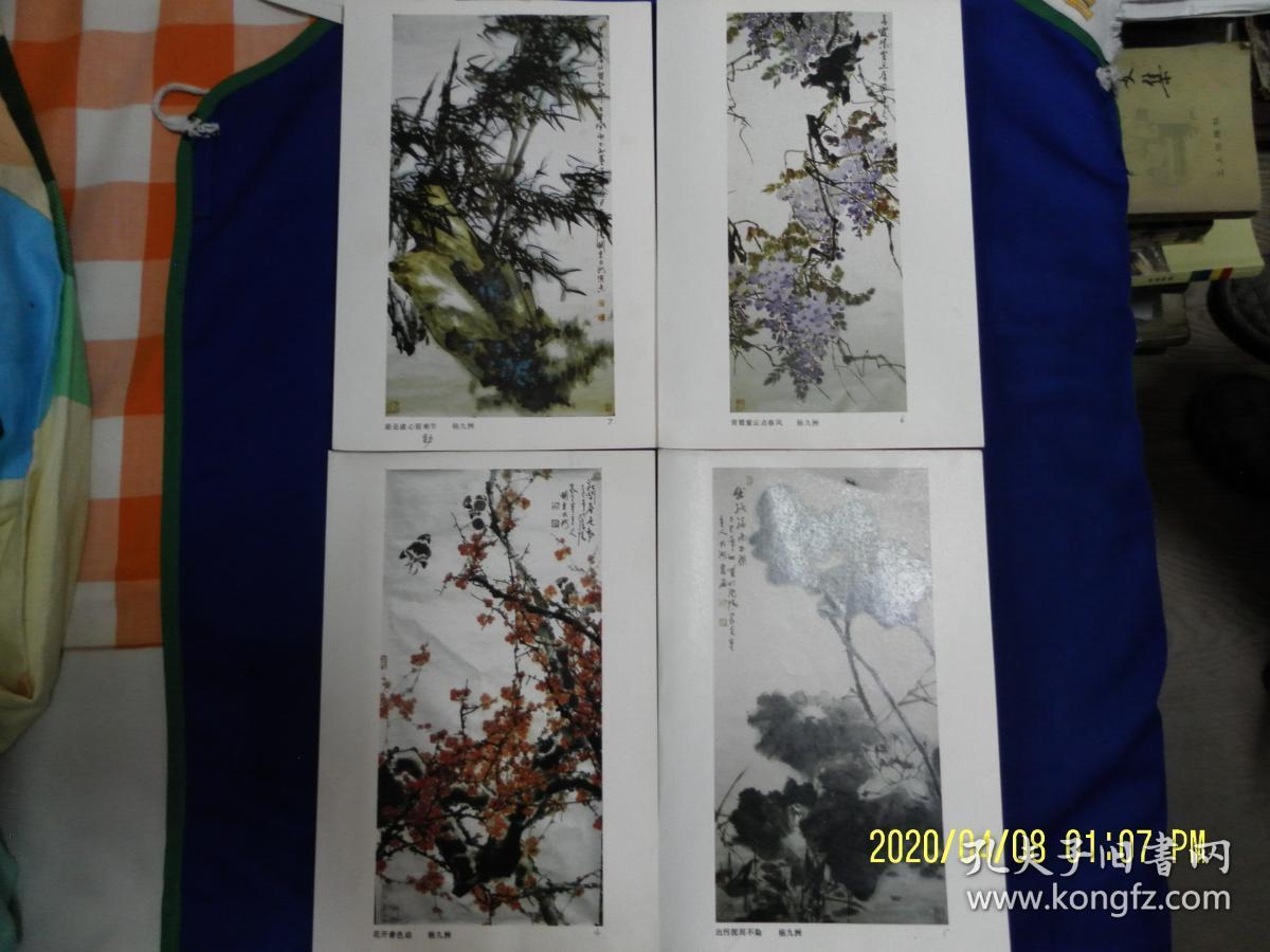 杨九洲国画 散页 14张 16开