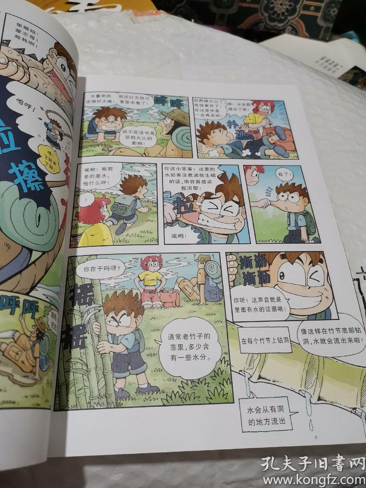 火山历险记:我的第一本科学漫画书12
