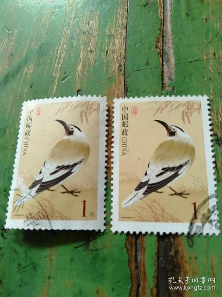 普通邮票    白尾地鸦    元  一张一元