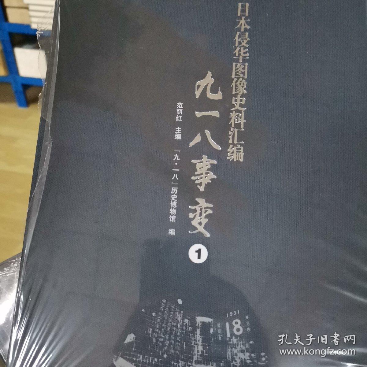 日本侵华图像史料汇编(全11册)