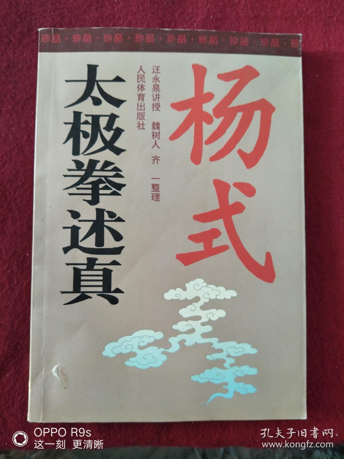 杨式太极拳术述真