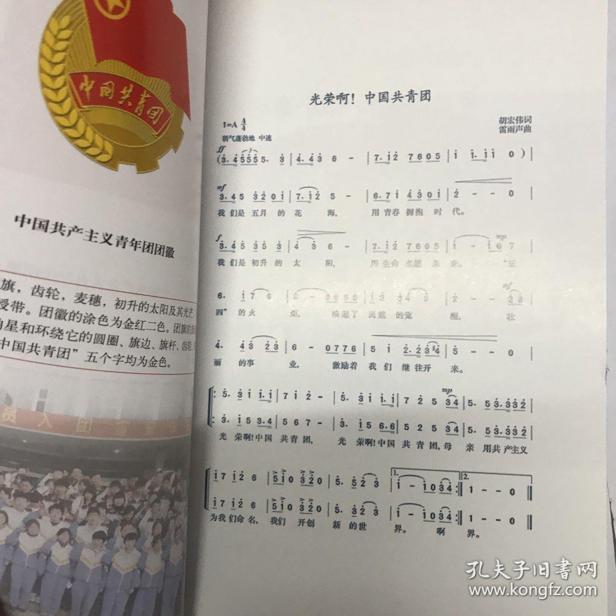 团旗·团徽·团歌的故事