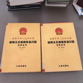 最新中华人民共和国婚姻法及婚姻家庭问题实务全书（上下）