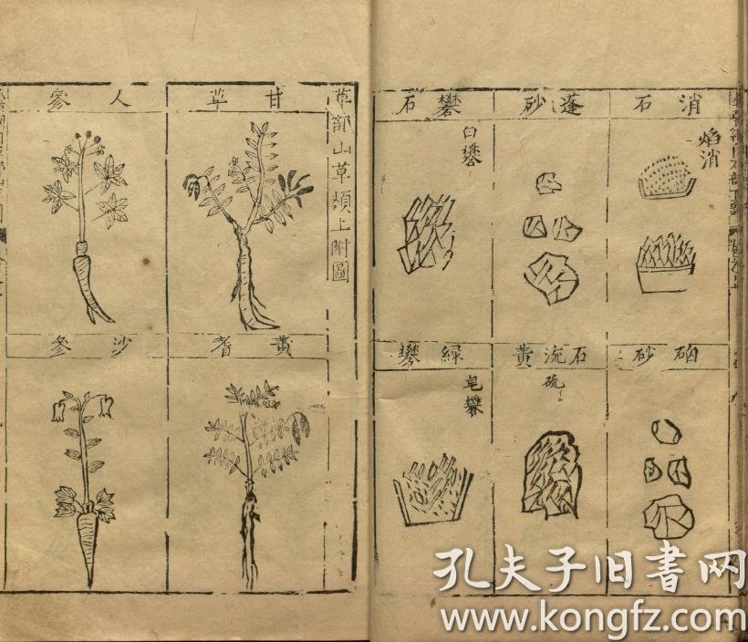 【复印件】明万历二十四年金陵胡承龙刻本:本草纲目,明李时珍撰,附