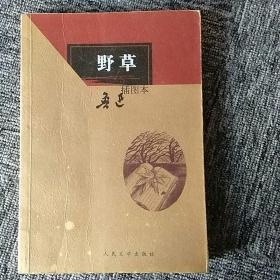 00八品黔春古旧书店(4)2020-04-14野草-------赵延年木刻   插图本